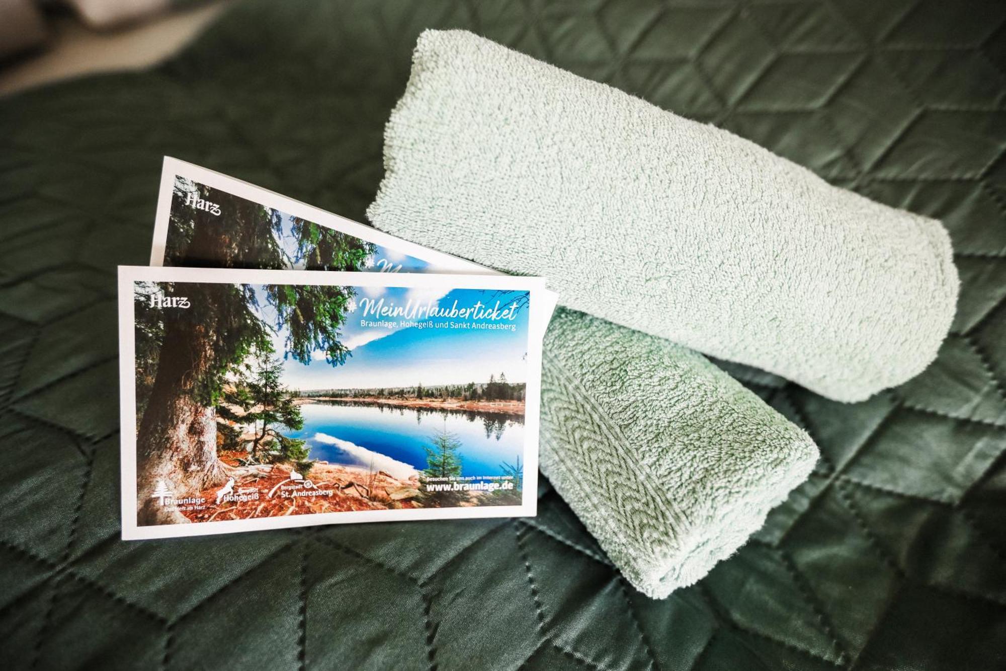 בראונלאגה Terrassenhaus Im Harz, Pool, Sauna, Wlan מראה חיצוני תמונה