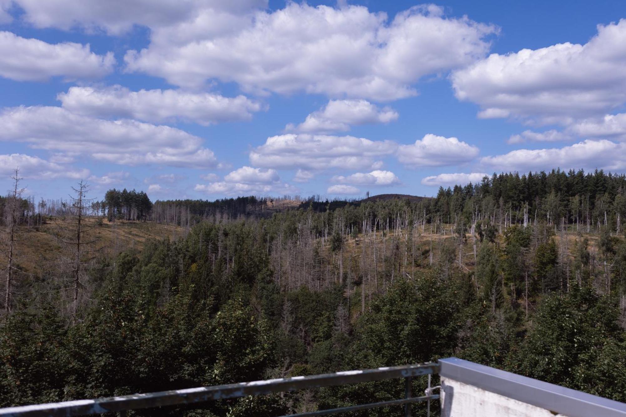 בראונלאגה Terrassenhaus Im Harz, Pool, Sauna, Wlan מראה חיצוני תמונה